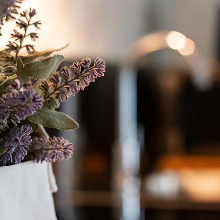 Smeraldo Suite - Smart Holiday Mantova Bagian luar foto